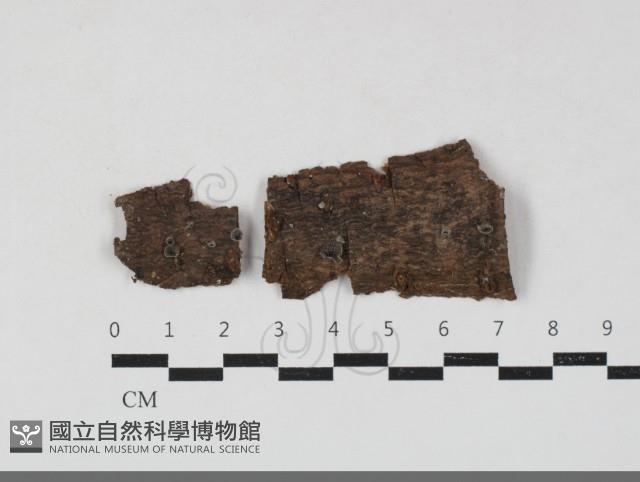 Accession Number:F0033811 Collection Image, Figure 1, Total 2 Figures