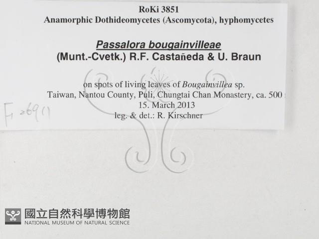 登錄號:F0026911藏品圖，第3張