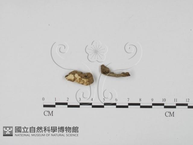 登錄號:F0001911藏品圖，第1張