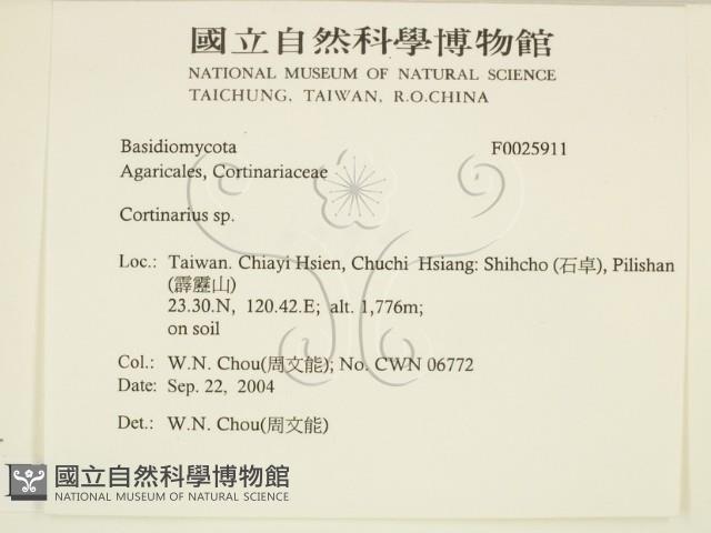 登錄號:F0025911藏品圖，第1張