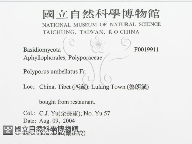 登錄號:F0019911藏品圖，第3張