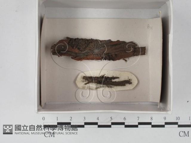 登錄號:F0018611藏品圖，第1張