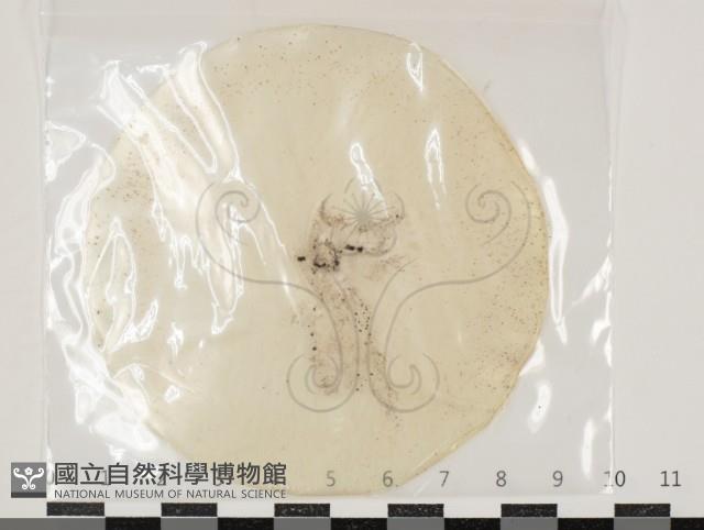 登錄號:F0034611藏品圖，第1張