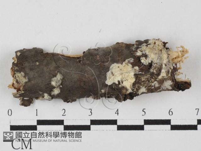 登錄號:F0027611藏品圖，第1張