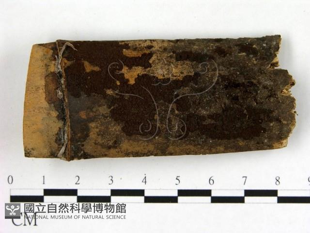 登錄號:F0019611藏品圖，第1張