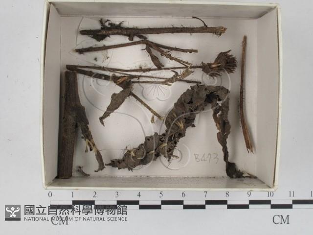 登錄號:F0018411藏品圖，第1張