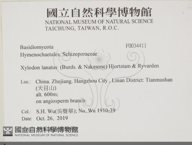 登錄號:F0034411藏品圖，第1張