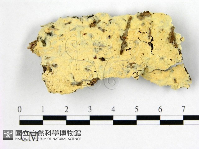 登錄號:F0022411藏品圖，第1張