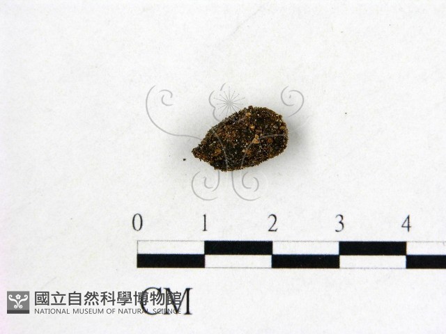 登錄號:F0007411藏品圖，第1張