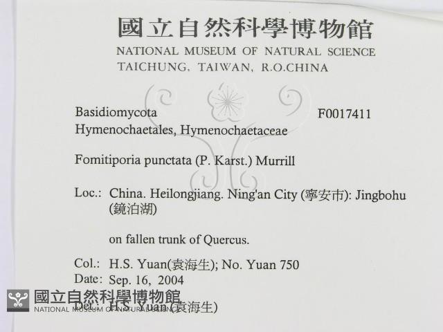 登錄號:F0017411藏品圖，第3張