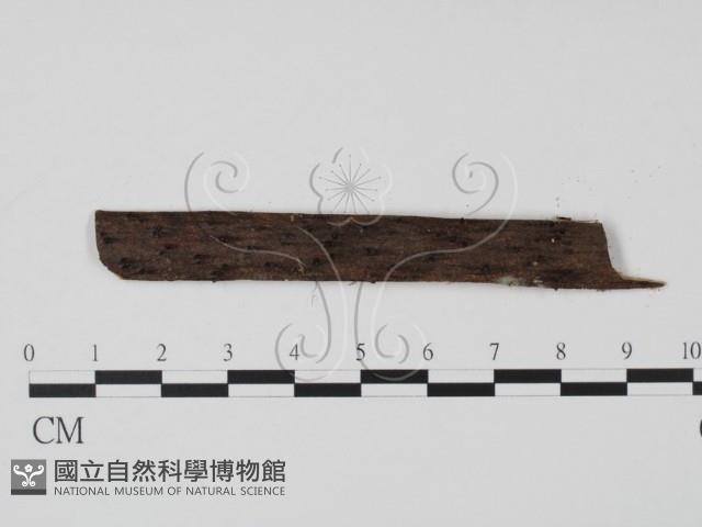 登錄號:F0003411藏品圖，第1張