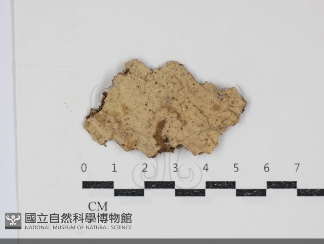 登錄號:F0034711藏品圖，第1張