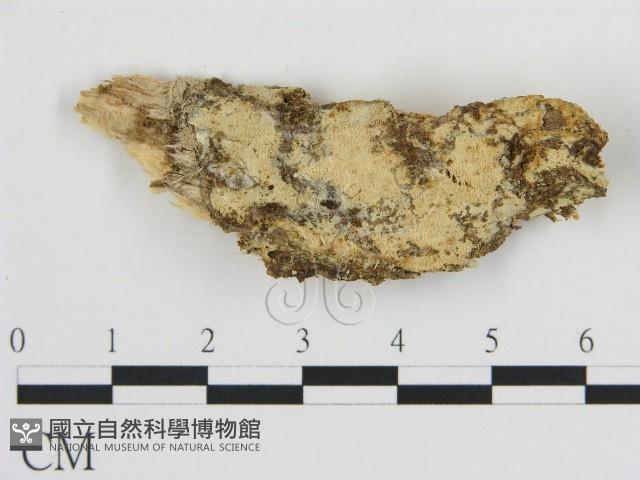 登錄號:F0002711藏品圖，第1張