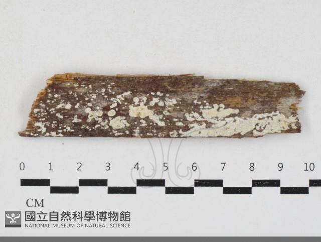 登錄號:F0033711藏品圖，第1張