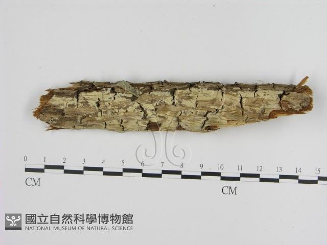 登錄號:F0001511藏品圖，第1張