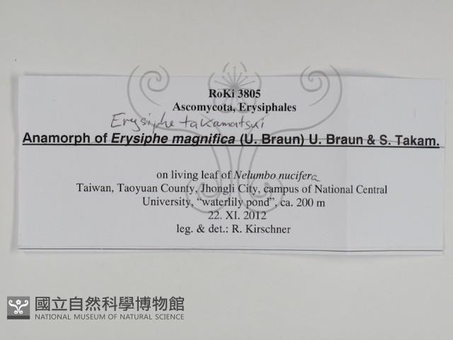 登錄號:F0031011藏品圖，第3張