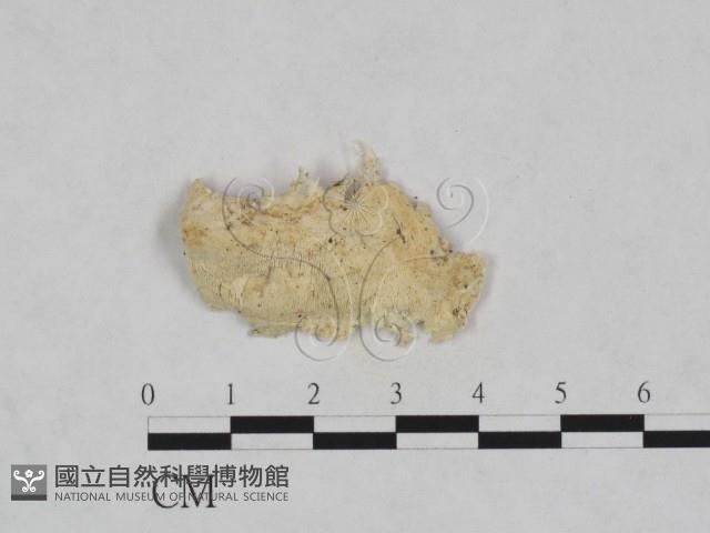 登錄號:F0024011藏品圖，第1張