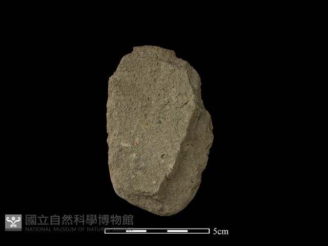 斧鋤形器藏品圖，第2張