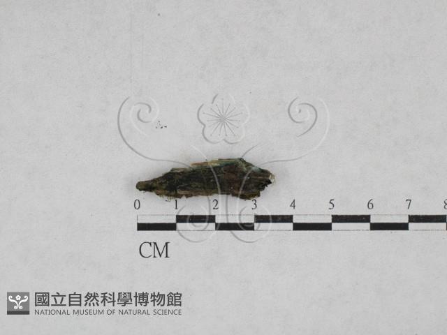 登錄號:F0011311藏品圖，第1張