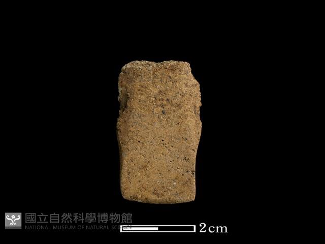 矛鏃形器藏品圖，第2張