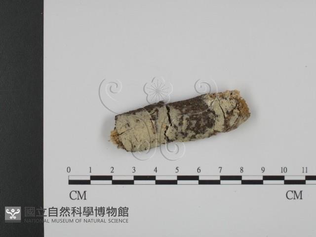 登錄號:F0010251藏品圖，第1張