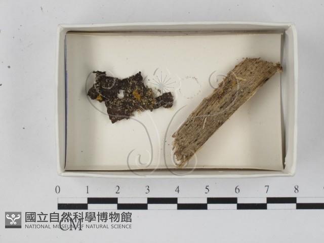 登錄號:F0021251藏品圖，第1張