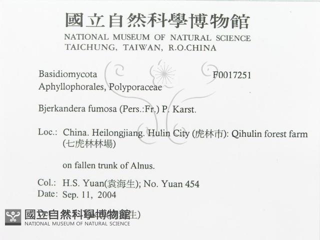 登錄號:F0017251藏品圖，第3張