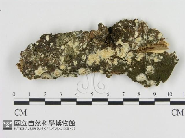 登錄號:F0009251藏品圖，第1張