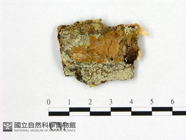 登錄號:F0016851藏品圖，第1張