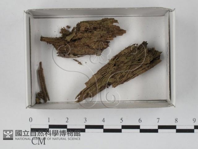 登錄號:F0019851藏品圖，第1張