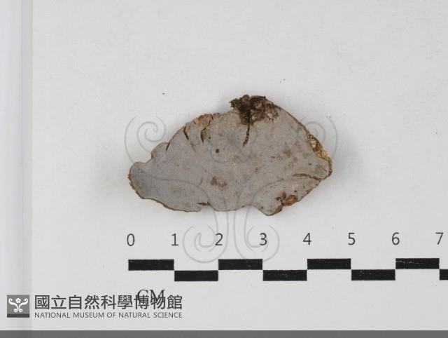 登錄號:F0033851藏品圖，第1張