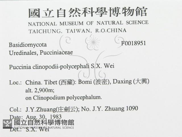 登錄號:F0018951藏品圖，第3張