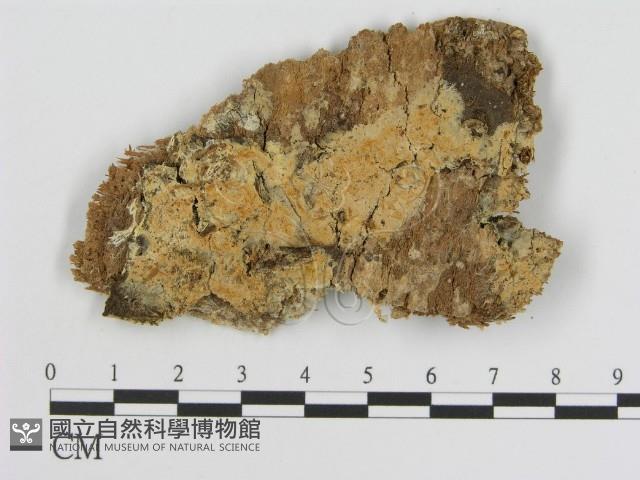 登錄號:F0000951藏品圖，第1張