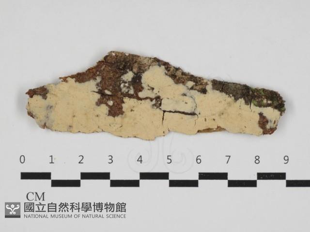 登錄號:F0032951藏品圖，第1張