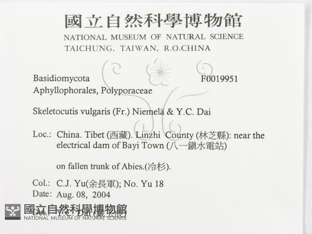登錄號:F0019951藏品圖，第3張