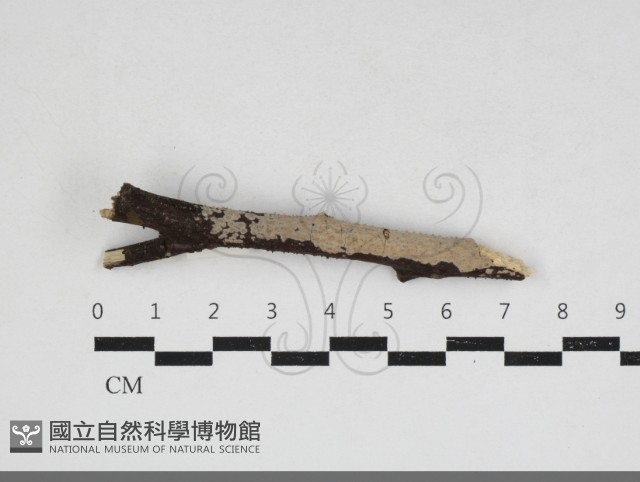 登錄號:F0033951藏品圖，第1張