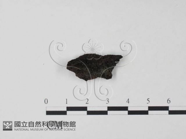 登錄號:F0018651藏品圖，第1張