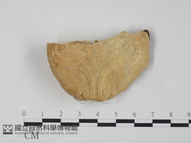 登錄號:F0006651藏品圖，第1張