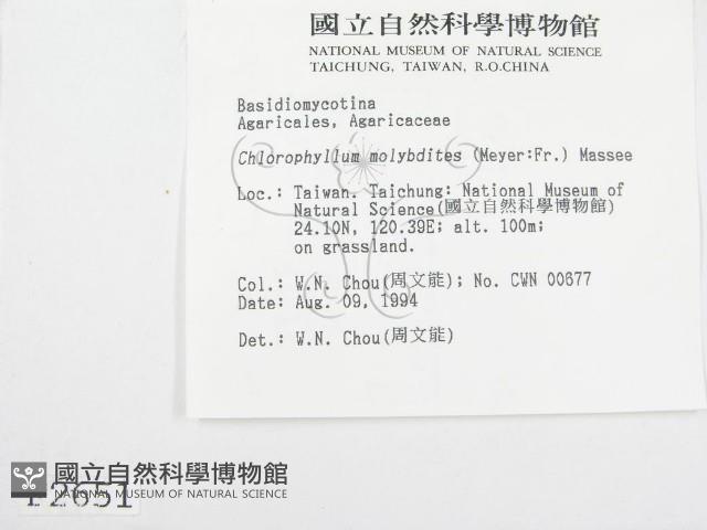 登錄號:F0002651藏品圖，第3張