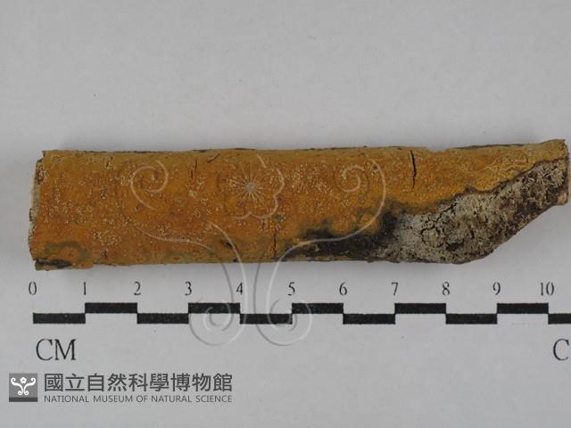 登錄號:F0029651藏品圖，第1張
