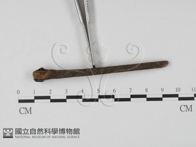 登錄號:F0019651藏品圖，第1張