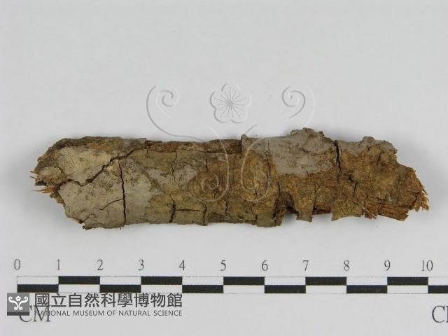 登錄號:F0010451藏品圖，第1張