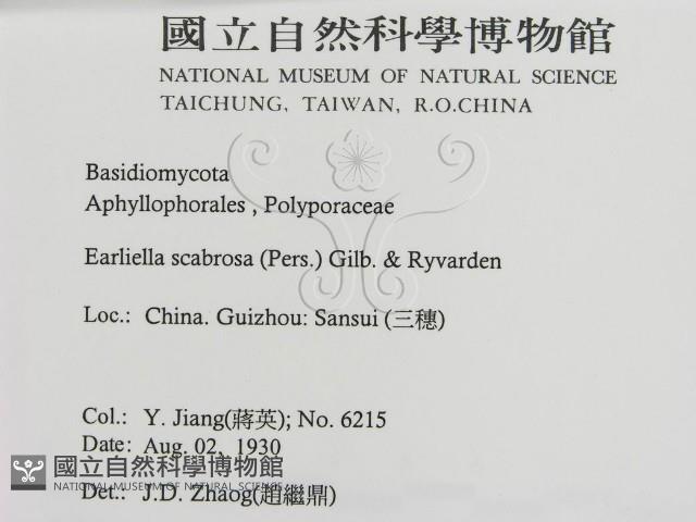 登錄號:F0016451藏品圖，第3張