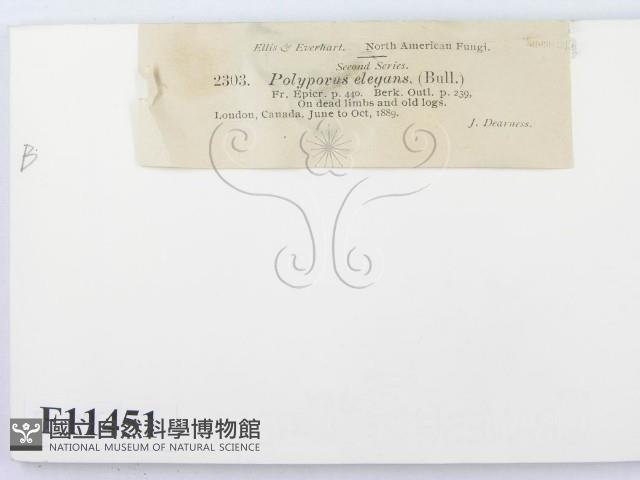 登錄號:F0011451藏品圖，第3張