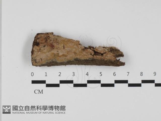 登錄號:F0032451藏品圖，第1張