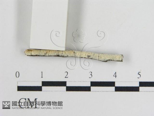 登錄號:F0015451藏品圖，第1張