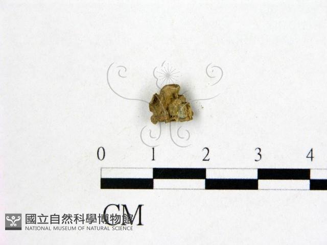 登錄號:F0000751藏品圖，第1張