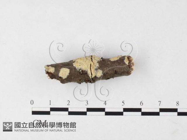 登錄號:F0026751藏品圖，第1張
