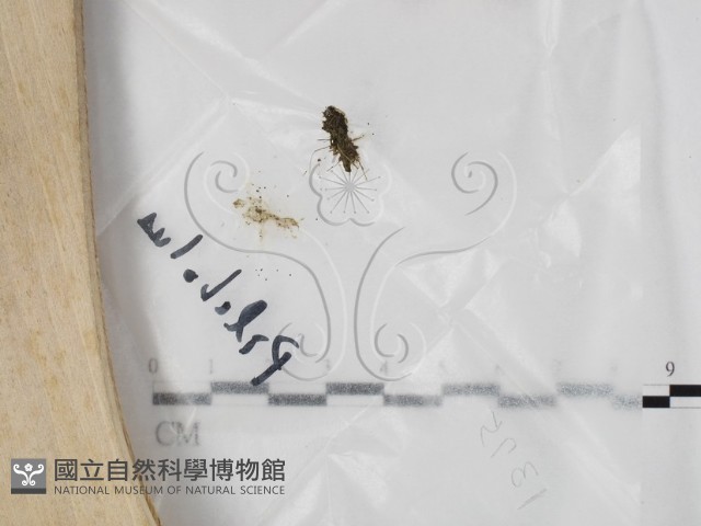 登錄號:F0025751藏品圖，第1張