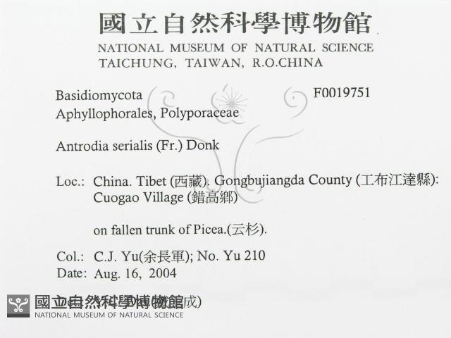 登錄號:F0019751藏品圖，第3張